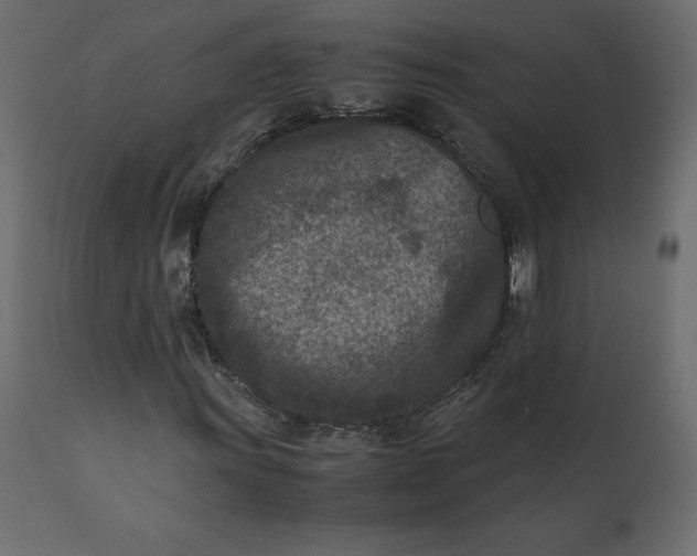 X0000110731011200906261514