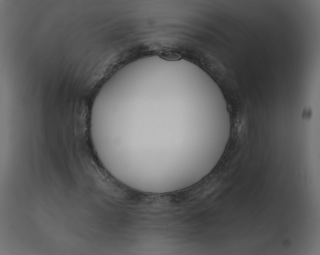 X0000110731012200906261514