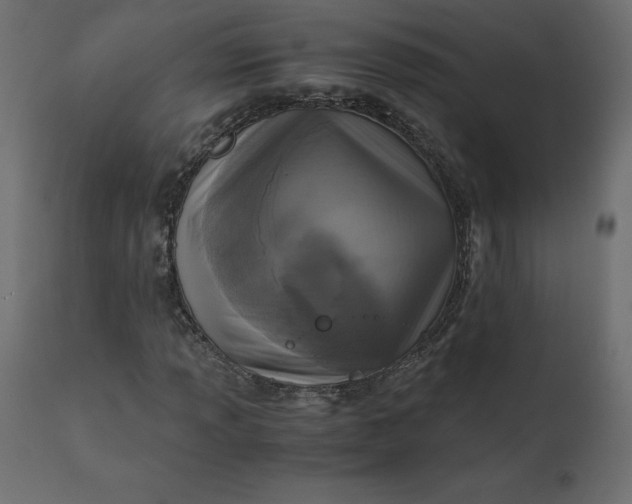 X0000110731013200906261514