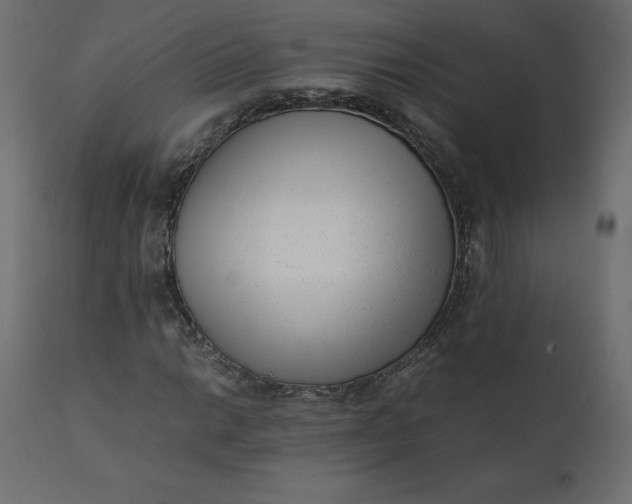 X0000110731014200906261514