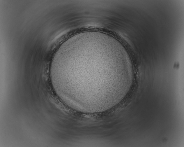 X0000110731015200906261514