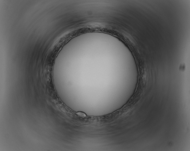 X0000110731016200906261514