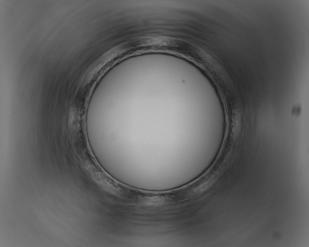 X0000110731017200906261514