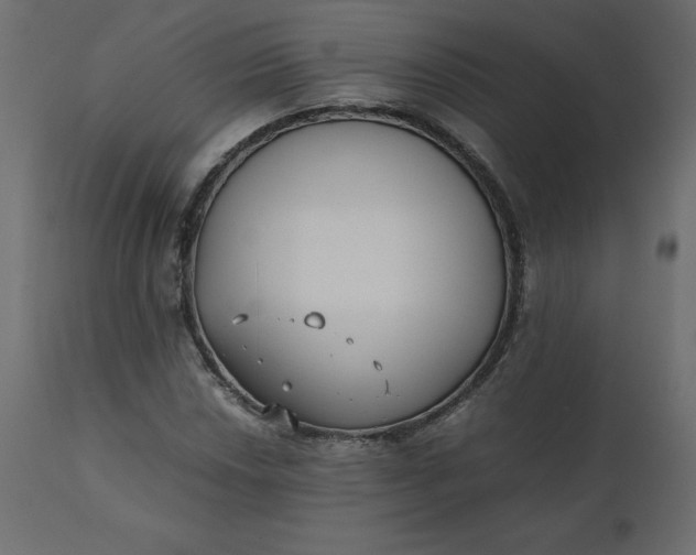 X0000110731018200906261514