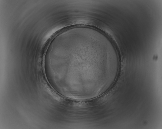 X0000110731019200906261514