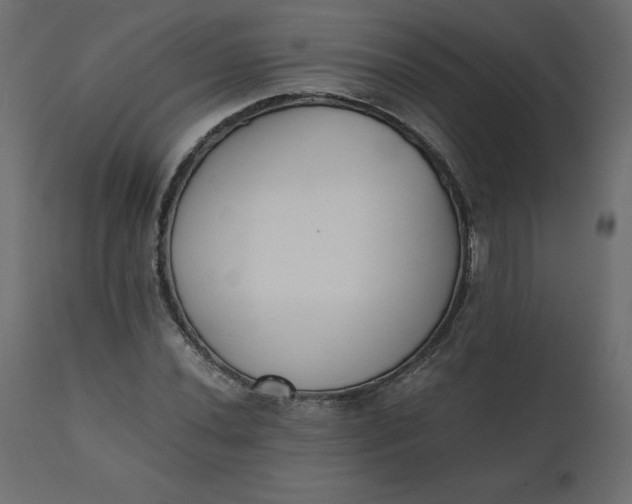 X0000110731020200906261514