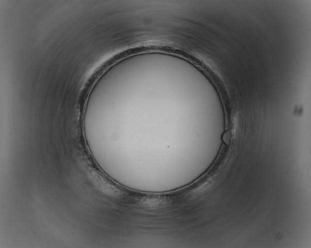 X0000110731021200906261514