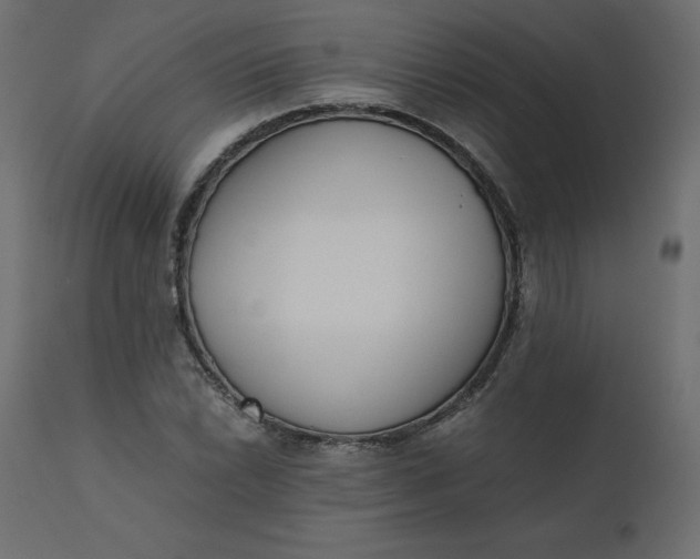 X0000110731022200906261514