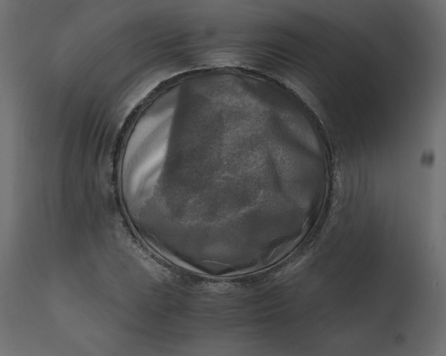 X0000110731023200906261514