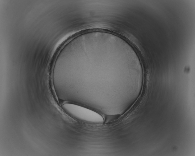 X0000110731024200906261514