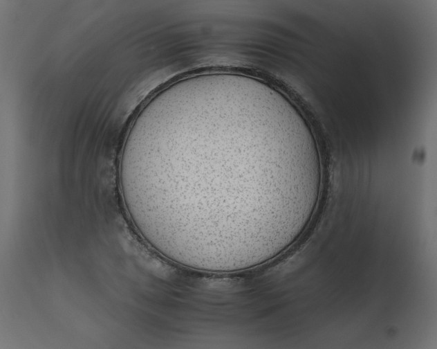 X0000110731025200906261514