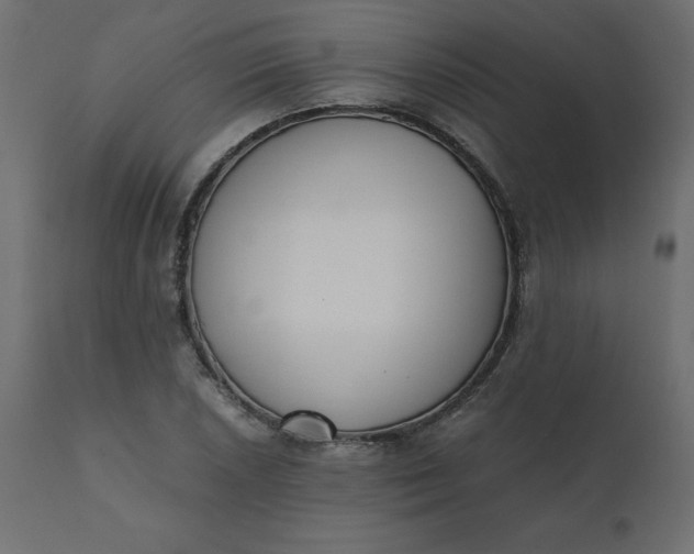 X0000110731026200906261514