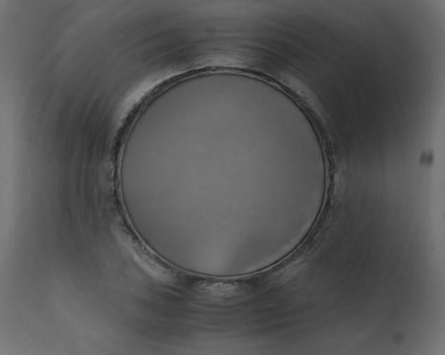 X0000110731027200906261514