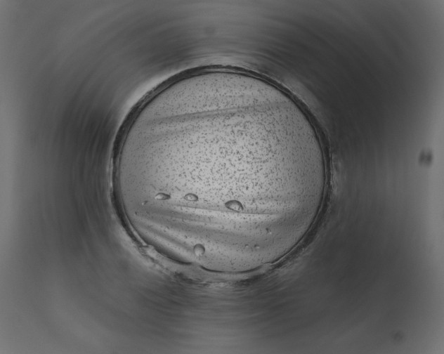 X0000110731028200906261514