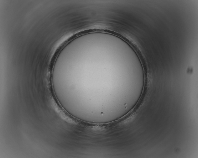 X0000110731029200906261514