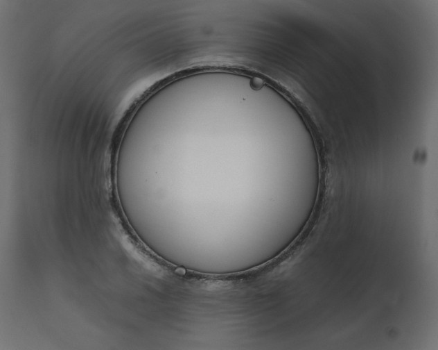 X0000110731030200906261514