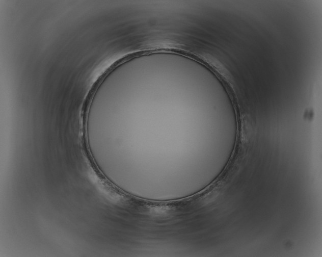 X0000110731031200906261514