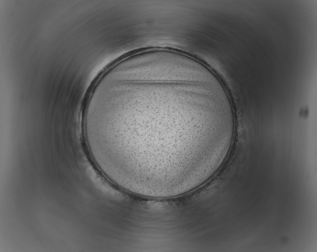 X0000110731032200906261514