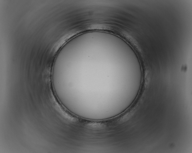 X0000110731033200906261514