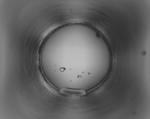 X0000110731034200906261514