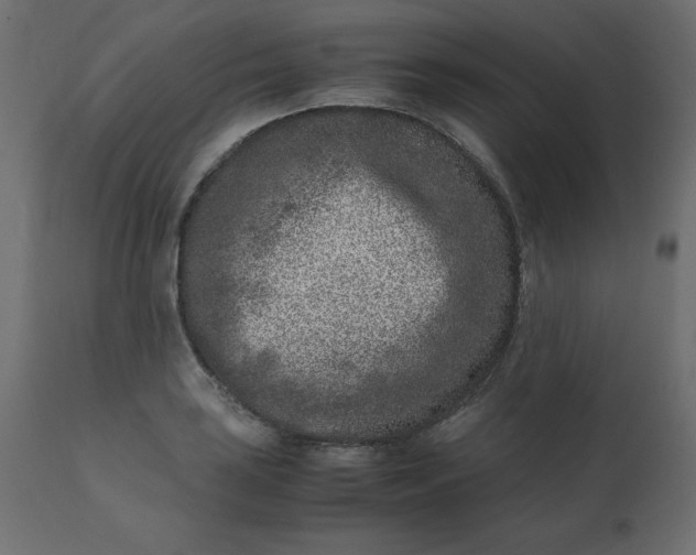 X0000110731035200906261514