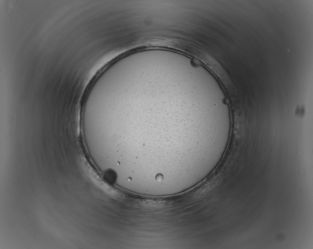 X0000110731036200906261514