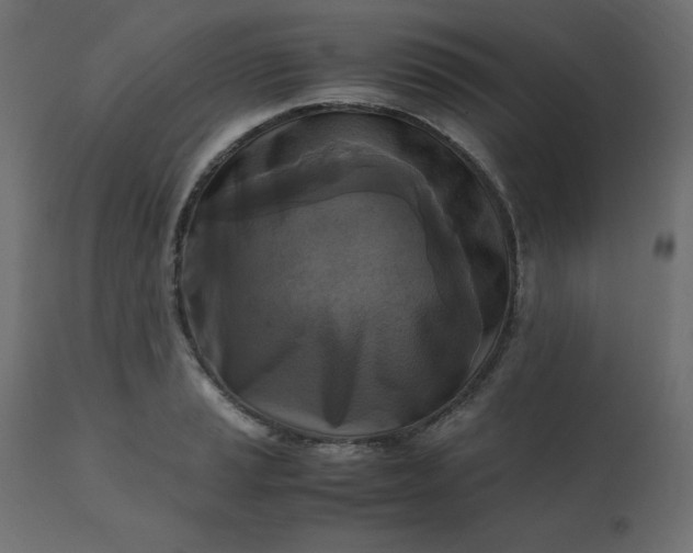 X0000110731037200906261514