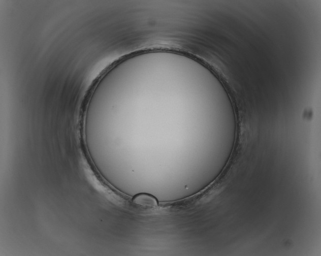 X0000110731038200906261514