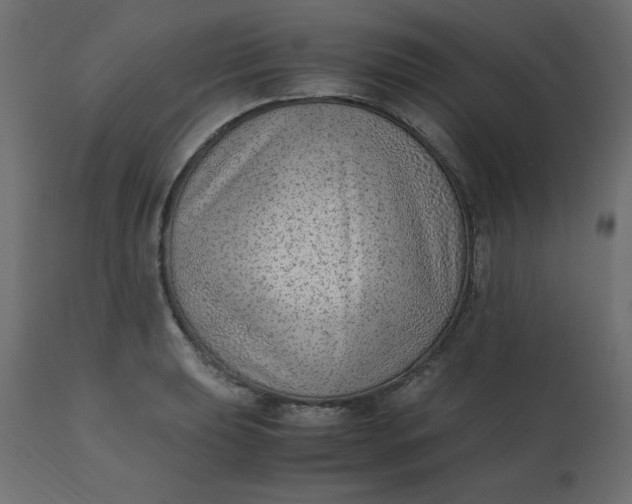 X0000110731039200906261514