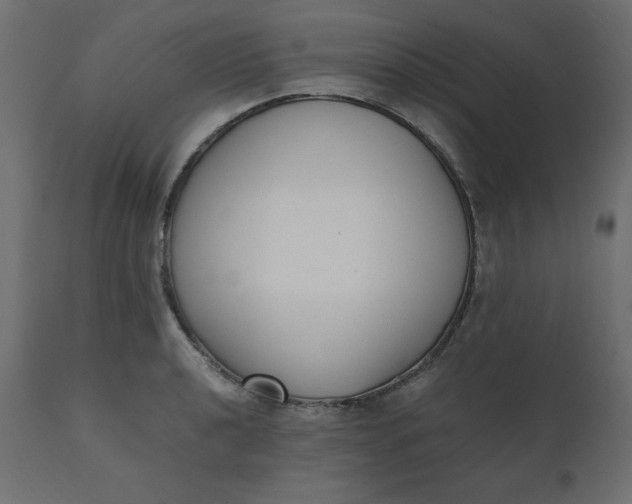 X0000110731040200906261514