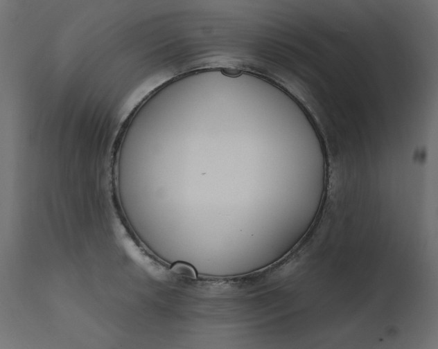 X0000110731042200906261514