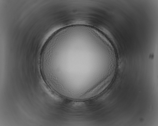 X0000110731043200906261514