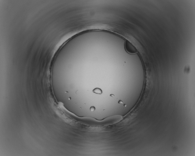 X0000110731044200906261514