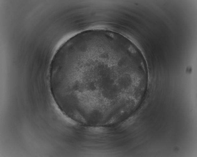 X0000110731045200906261514