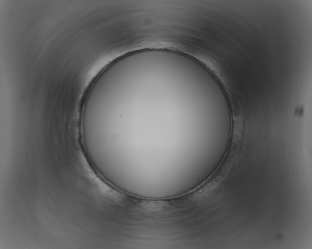 X0000110731046200906261514