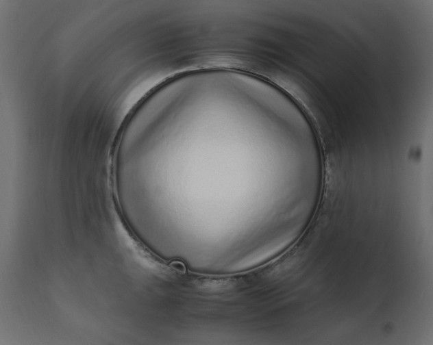 X0000110731047200906261514