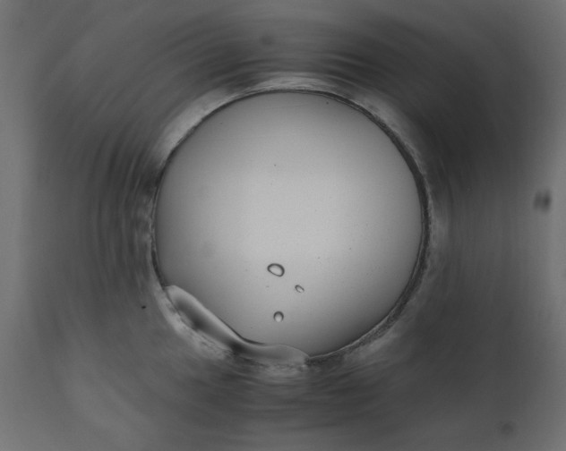 X0000110731049200906261514