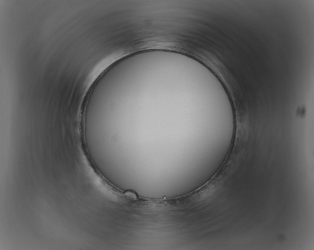 X0000110731050200906261514