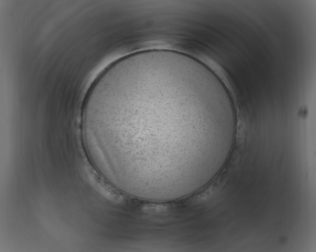 X0000110731051200906261514