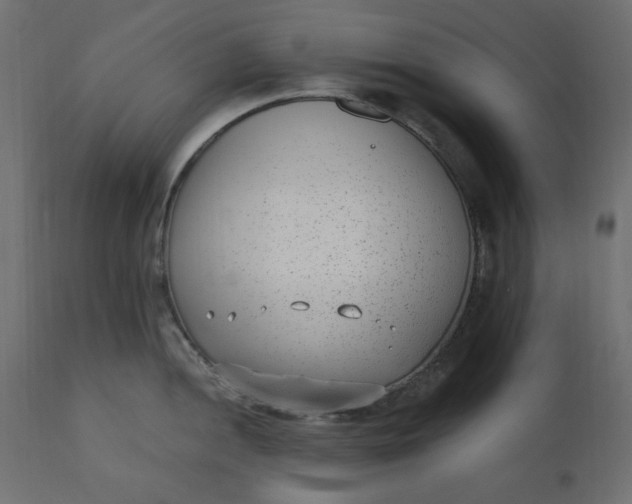 X0000110731052200906261514