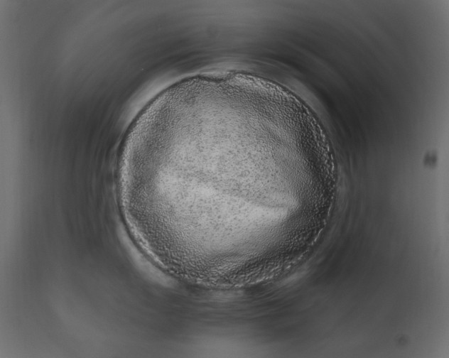 X0000110731055200906261514