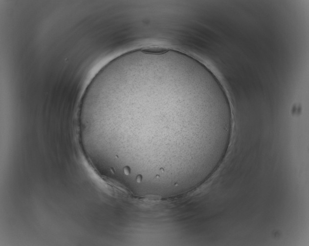 X0000110731056200906261514