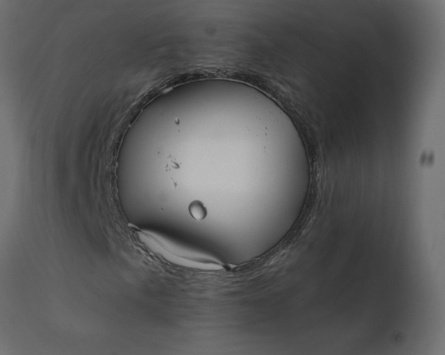 X0000110731057200906261514