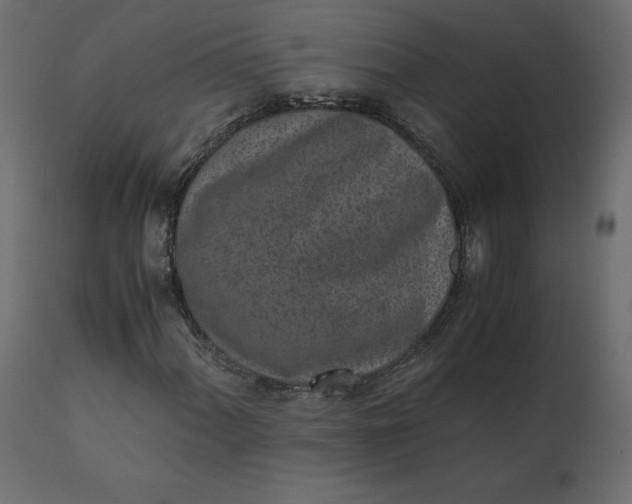 X0000110731060200906261514