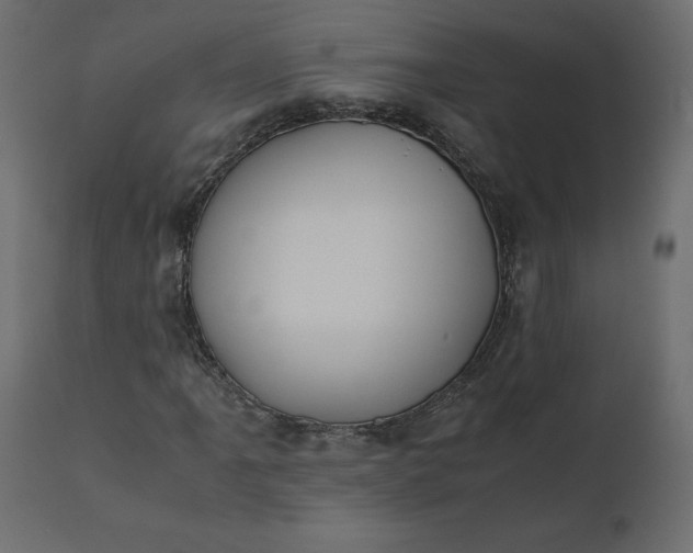 X0000110731061200906261514