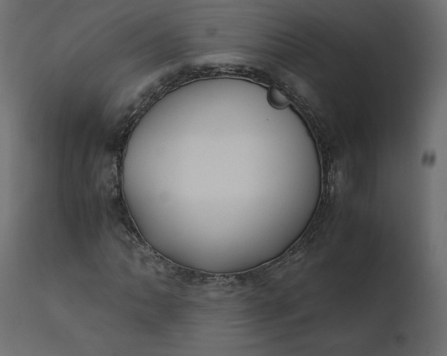 X0000110731062200906261514