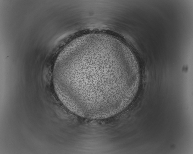 X0000110731063200906261514