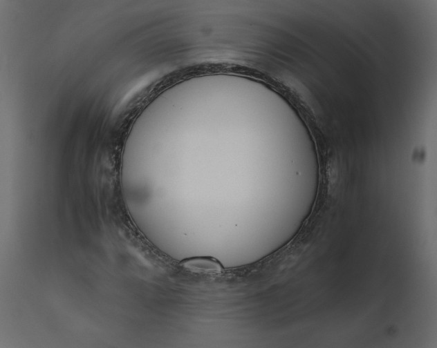 X0000110731064200906261514