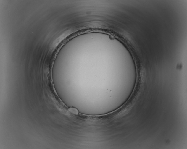 X0000110731065200906261514