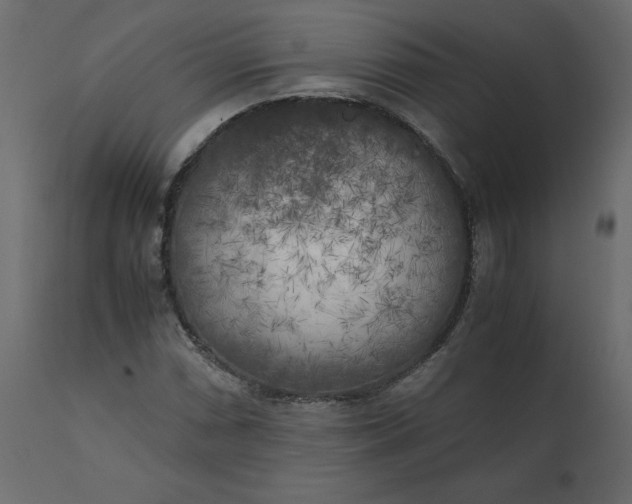 X0000110731066200906261514